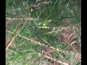 Outdoors Morning Pee