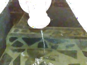 Pissing on Safari in shower