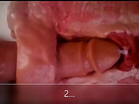 Close up & internal view of anal dildo fucking