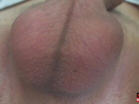 Eggs and scrotum in motion Mikel Prado Dick Evolution