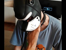 real sesion con perro dog  feet fetish foot slave dogtraining